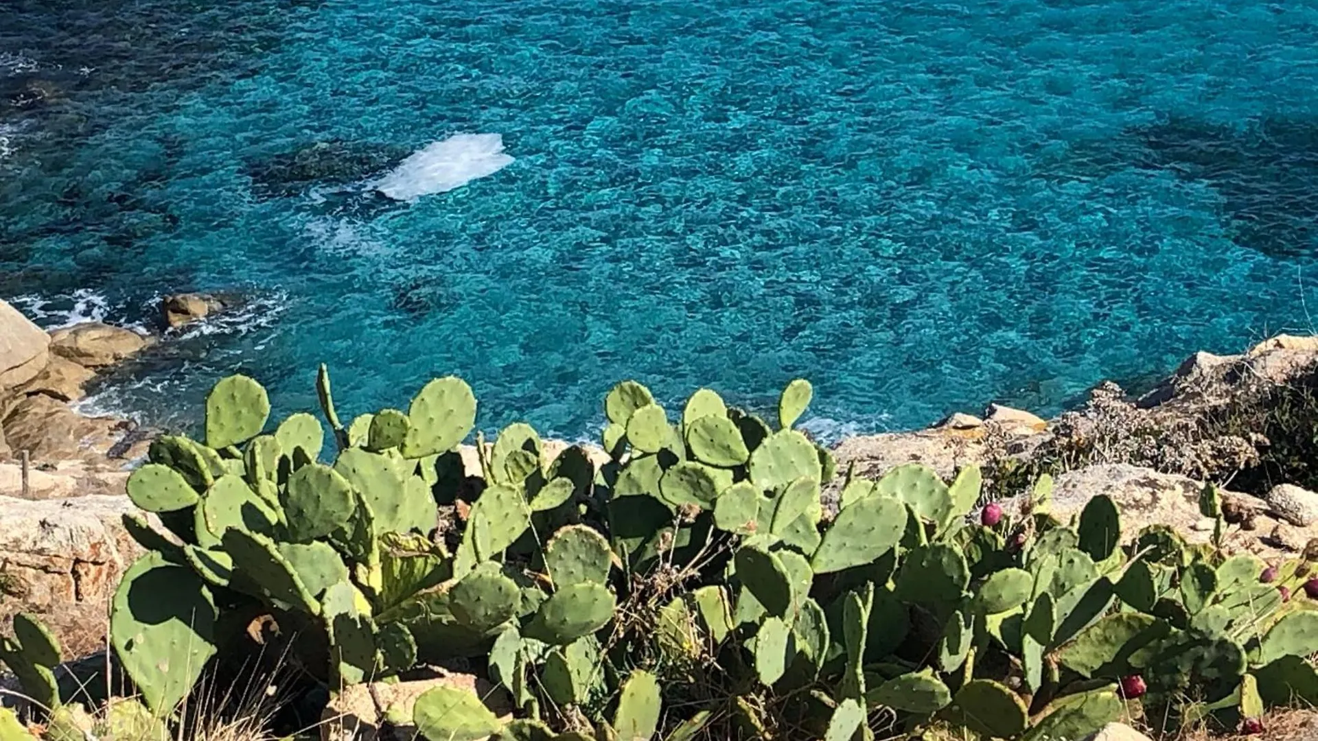 로크부른수르알젠스 Mazet Les Issambres / Ste-Maxime 아파트